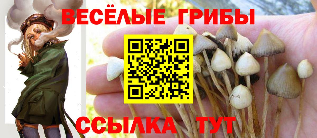 Псилоцибиновые грибы Psilocybine cubensis  купить  сайты  Печора  Вход с VPN 