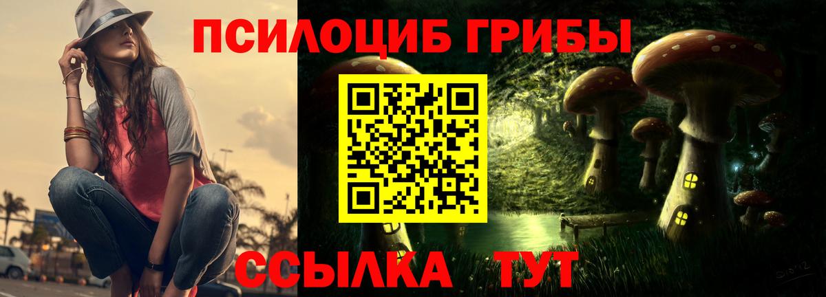 Галлюциногенные грибы MAGIC MUSHROOMS Печора